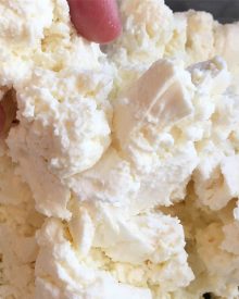 Creamy Goat Cheese – Made with ANY milk! (Premium)