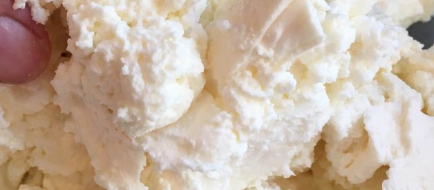 Creamy Goat Cheese – Made with ANY milk! (Premium)