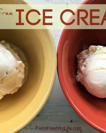 Sugar-Free Homemade Ice Cream (Premium)
