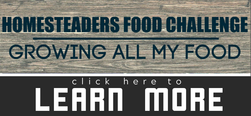 Homesteaders Food Challenge