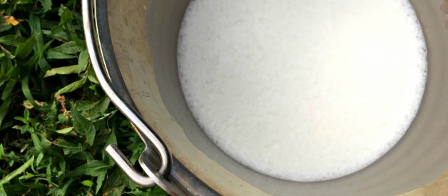 The Case for Raw Milk