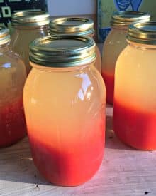 This Week in My Kitchen – Canning Tips From an 80-Year-Old (JTMWTC)