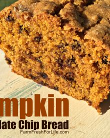 Whole Wheat Pumpkin Chocolate Chip Bread