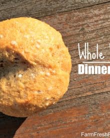 Easy Whole Wheat Dinner Rolls (Premium)