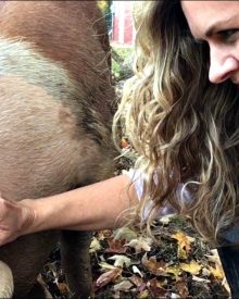 Introduction to Raising Pigs – VIDEO! (Premium)