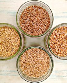A Christian Perspective on Grains