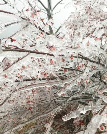Peek Behind the Scenes – Storms of Life – Dec ’18 (Premium)