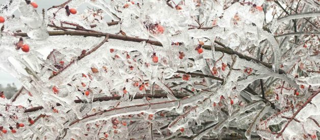 Peek Behind the Scenes – Storms of Life – Dec ’18 (Premium)