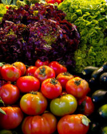 The Lie of Vegetarianism
