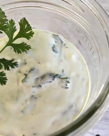 Avocado Cilantro Lime Dip or Spread