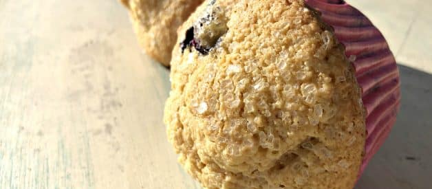 Domed Blueberry Muffins