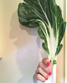 Bok Choy (Premium)