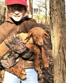 A Peek Behind the Scenes – LAMBS!!! 2/19 (Premium)