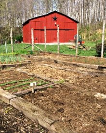 GROW YOUR OWN – ORGANIC GARDENING CLASS WEEK 1 [SOIL & SEEDS]  (PREMIUM)