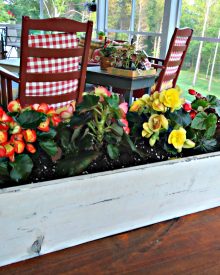 ORGANIC GARDENING – SUMMER GARDEN (4) Container Gardening (Premium)