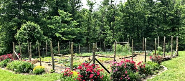 ORGANIC GARDENING Summer (5) Weed Free Gardening (Premium)