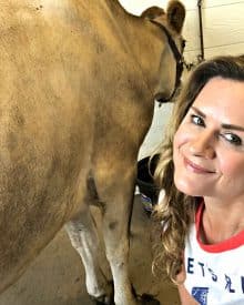 Mastitis (Premium)