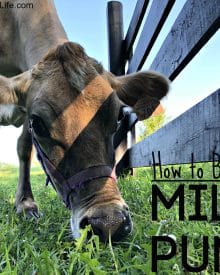 How to Build a Milk Pump (Premium)