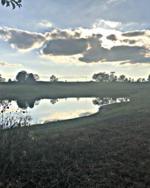 Experience The Country Life – Even if You Live in a Neighborhood!