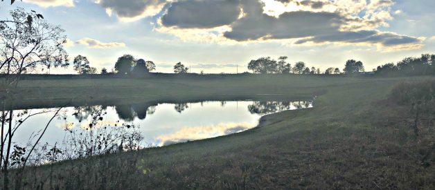 Experience The Country Life – Even if You Live in a Neighborhood!