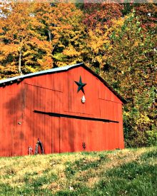 Grow Your Own Organic Gardening -FALL GARDEN (2) – After the Drought (Premium)