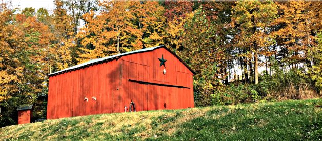 Grow Your Own Organic Gardening -FALL GARDEN (2) – After the Drought (Premium)