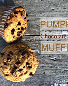 Pumpkin Chocolate Chip Muffins