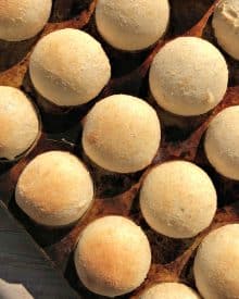 Quick Yeast Rolls (Premium)