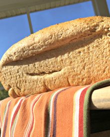 Basic Farmhouse Sandwich Loaf