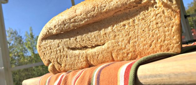 Basic Farmhouse Sandwich Loaf