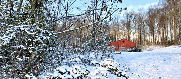 Winterizing the Farm