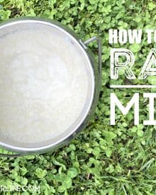 How to Freeze Raw Milk the Easy Way