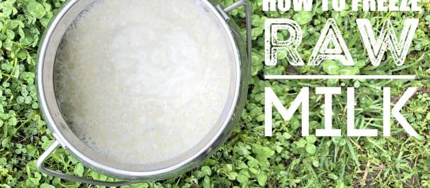 How to Freeze Raw Milk the Easy Way